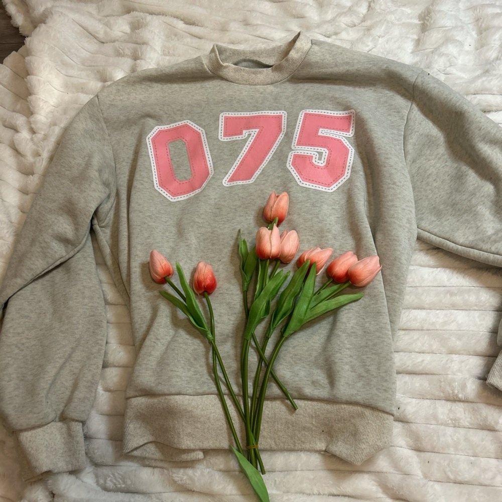 Tan Sweatshirt with Pink Numbers